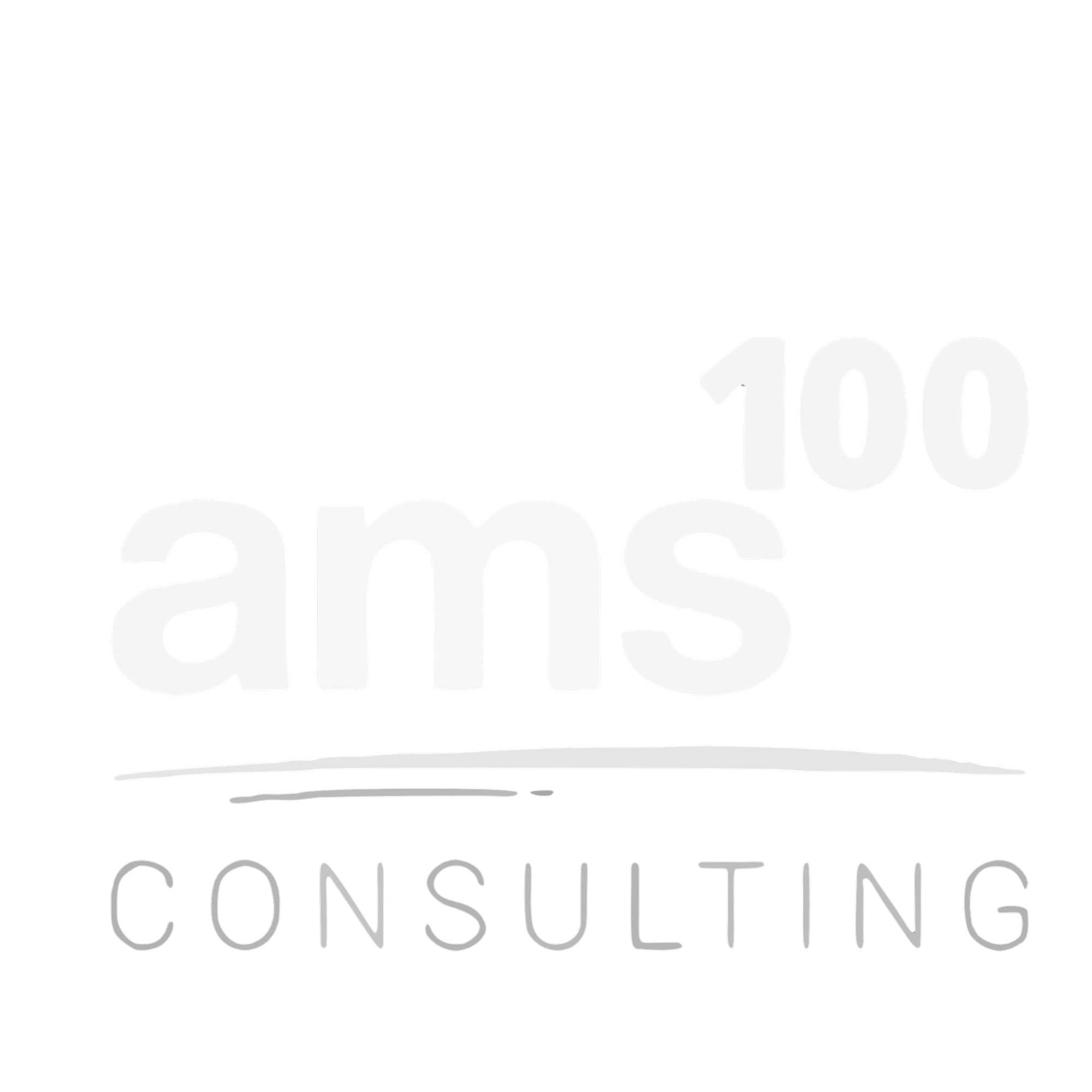 ams100 Consulting